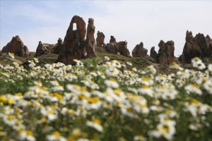 Kapadokya 'çiçek açtı'