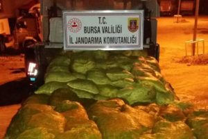 Bursa'da kaçak midye operasyonu! 25 ton...