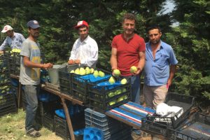 Bursa Milletvekili Sarıbal: "Çiftçimize, tarımımıza sahip çıkmalıyız"
