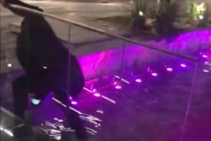 S&uuml;s havuzuna d&uuml;şen k&ouml;peği, boğulmaktan polis kurtardı