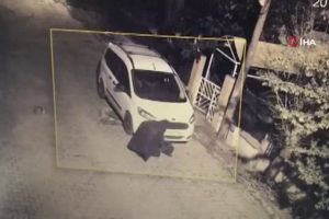 Park halindeki ara&ccedil; b&ouml;yle kundaklandı