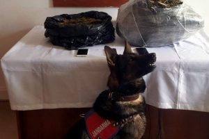 Aracın i&ccedil;inde 10 kilo esrar ele ge&ccedil;irildi