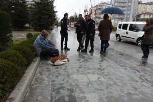 Koşusunun zehirlediğini &ouml;ne s&uuml;rd&uuml;ğ&uuml; buzağısı i&ccedil;in otopsi istedi