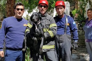 Bah&ccedil;e kapısına sıkışan k&ouml;pek kurtarıldı
