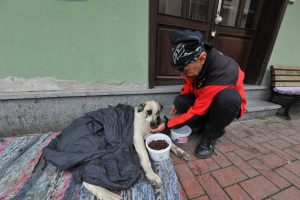 Bursa'da çocuklar, yağmurda ıslanan köpeği montla ısıttı