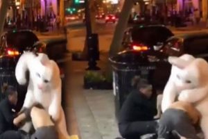 Paskalya tavşanı kost&uuml;m&uuml;yle kavgaya karıştı sosyal medyayı salladı