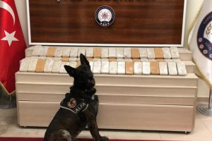 29 kilo 795 gram eroin ele ge&ccedil;irildi