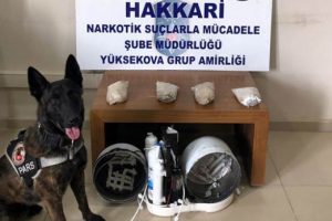 Kargo aracında uyuşturucu bulundu