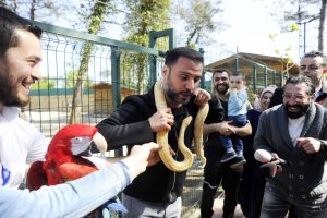 &Uuml;nl&uuml; şarkıcının yılanla imtihanı