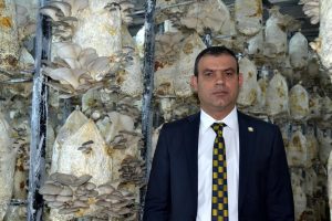 'Cezaevinde' istiridye mantarı hasadı başladı