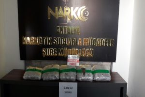 Uyuşturucu operasyonuna 11 tutuklama