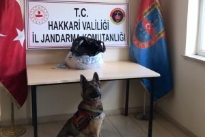 Ev aramasında 17 kilo 870 gram esrar ele ge&ccedil;irildi