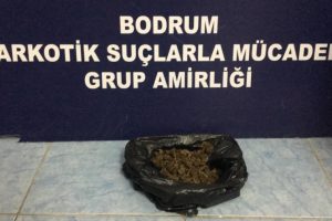 İzmir'den uyuşturucu getirip Bodrum'da satan 2 kardeş tutuklandı