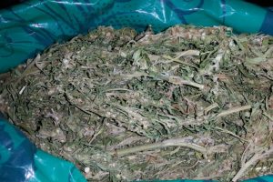 Otomobilde uyuşturucuyla yakalanan 2 kişiye g&ouml;zaltı