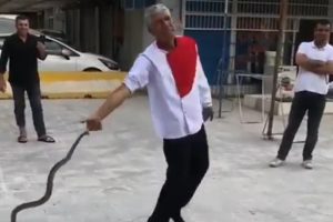 Bu kez de kendini yılana ısırttı