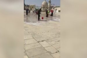 Mescid-i Aksa'da Ramazan temizliği