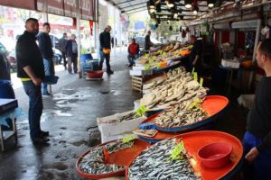Kıyıdan tutulan balıklarla bolluk yaşandı