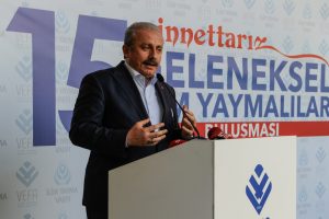 TBMM Başkanı Şentop:  Bug&uuml;nk&uuml; &ccedil;atışmalar, pozisyon alma &ccedil;atışmalarına d&ouml;n&uuml;şt&uuml;