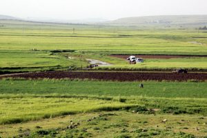 Serinlemek i&ccedil;in girdiği dereden cansız bedeni &ccedil;ıktı