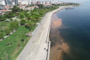 Sahil turuncuya b&uuml;r&uuml;nd&uuml;, g&ouml;renleri şaşkına &ccedil;evirdi