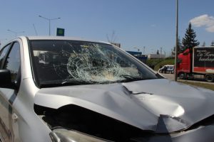 Yolun karşısında bekleyen babasına koşarken canından oldu