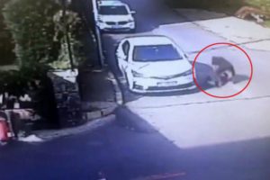 Tuzla'da &ccedil;ocuğu d&ouml;ven ş&uuml;pheli hakkında flaş gelişme