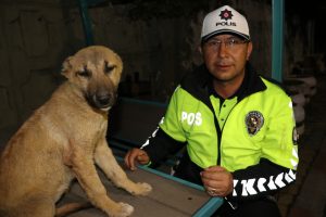 Yaralı k&ouml;peğe polis sahip &ccedil;ıktı