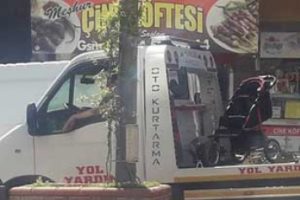 G&ouml;ren bir daha baktı! Aydın'da g&uuml;l&uuml;mseten g&ouml;r&uuml;nt&uuml;...