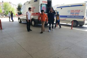 Bursa'da k&uuml;&ccedil;&uuml;k &ccedil;ocuk k&ouml;peklerin saldırısına uğradı