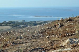 Didim'de 'Hazine' arazilerini talan ettiler