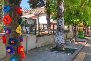 Yalova'da ağa&ccedil;lar renklendi