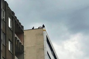 6 kez yaptı uslanmadı! Binanın terasında...