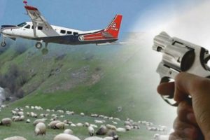 &Ccedil;obanlar maden keşif u&ccedil;ağını vurdu