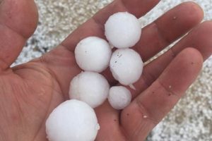 Niğde'de, ceviz b&uuml;y&uuml;kl&uuml;ğ&uuml;nde dolu yağdı