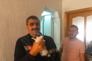 Havalandırma bacasına d&uuml;şen yavru kedi kurtarıldı