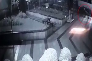 İ&ccedil;inde yavruların olduğu kedi evini metrelerce uzağa fırlattı