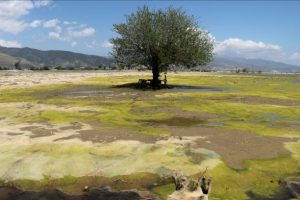 G&ouml;le d&ouml;nen Amik Ovası'ndaki su seviyesi azaldı