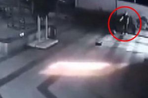 AVM'de kediye işkence adamın akıl sağlığına bakılacak