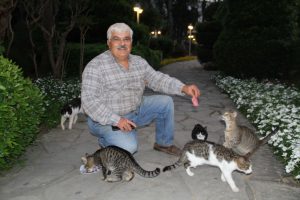Kedisi bulana 50 adet avokado ve 50 kilo portakal