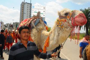 Adanalı Y&ouml;r&uuml;klerden develi temsili g&ouml;&ccedil; y&uuml;r&uuml;y&uuml;ş&uuml;