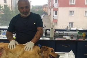 B&uuml;y&uuml;k tepki &ccedil;ekmişti! Ger&ccedil;ek ortaya &ccedil;ıktı