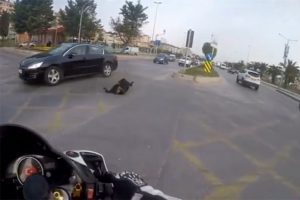 Otomobilin &ccedil;arptığı k&ouml;pek metrelerce ileriye fırladı