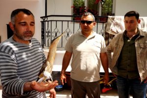 Nesli t&uuml;kenmekte olan kuş yaralı halde bulundu