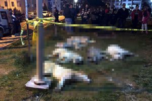 B&uuml;y&uuml;k tepki &ccedil;ekmişti... K&ouml;pek katliamında istenen cezalar belli oldu