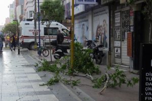 Lodosun kırdığı ağa&ccedil; dalı hastanelik etti!