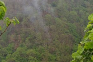 Giresun'daki orman yangını kendiliğinden s&ouml;nd&uuml;