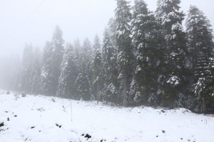 Bolu'da y&uuml;ksek kesimlere kar yağdı