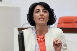 Bursa Milletvekili Kayışoğlu: "Se&ccedil;menin oyunu yok sayan darbeyle buluşmaz mı?"
