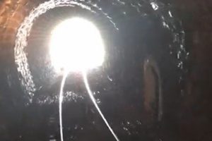 T&uuml;nele giren yaban ke&ccedil;ileri son anda kurtuldu