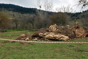 'Gizli g&ouml;rev' diyerek define kazısı yapan albay ve emniyet m&uuml;d&uuml;r&uuml; hakkında karar